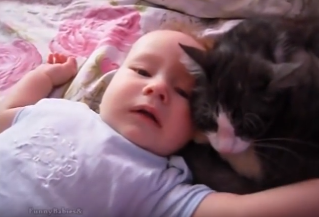 落ち着いた赤ちゃん_【動画あり】ギャン泣きする赤ちゃんに寄り添う猫。まるで「大丈夫だよ～」と言っているよう