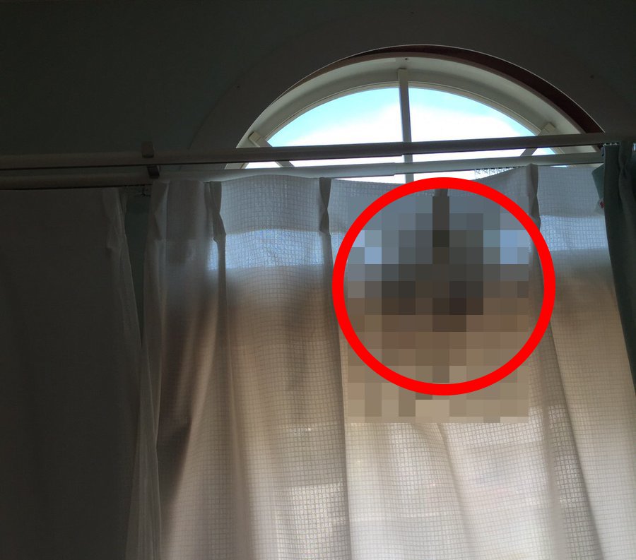 【閲覧注意】カーテンから部屋を覗き込む不気味な人影が激写されるが何故か怖くない画像
