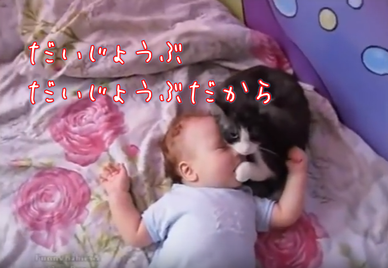 アイキャッチ_【動画あり】ギャン泣きする赤ちゃんに寄り添う猫。まるで「大丈夫だよ～」と言っているよう